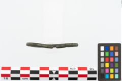 Foto von Bronzearmreif (NHMW-PRAE-026618)